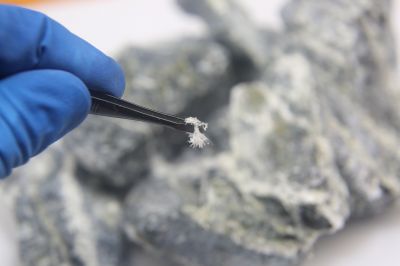 Asbestos Inspection Service in Sussex County, NJ