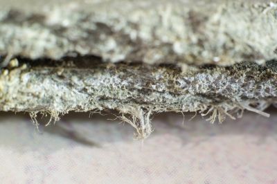 Asbestos Removal in Sussex County, NJ