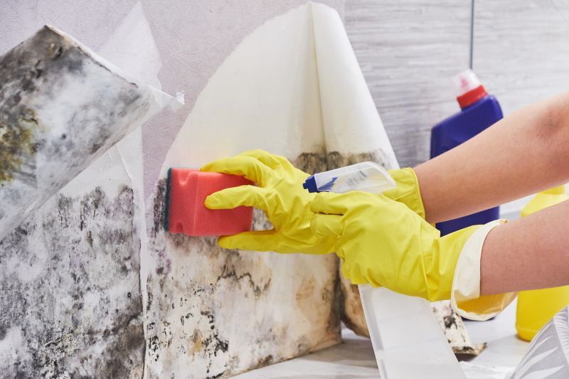 Attic Mold Remediation in Frisco, TX
