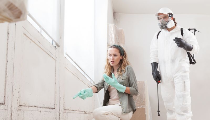Attic Mold Remediation in Bergen County, NJ