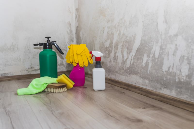 Basement Mold Remediation in Frisco, TX
