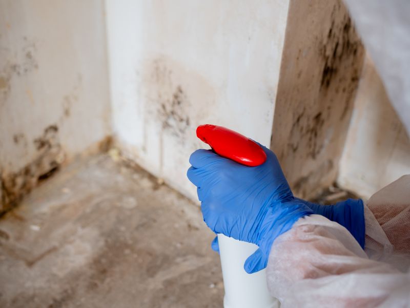 Basement Mold Remediation in Boca Raton, FL
