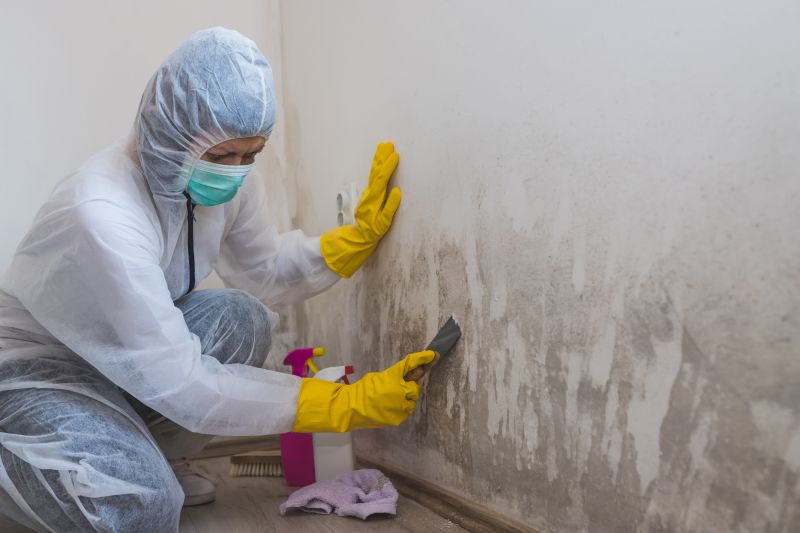 Basement Mold Removal in Fort Lauderdale, FL