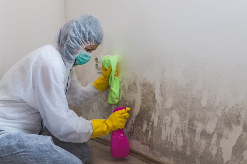 Basement Mold Removal in Frisco, TX