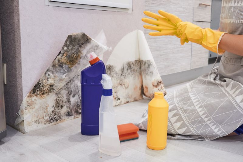 Black Mold Remediation in Bergen County, NJ
