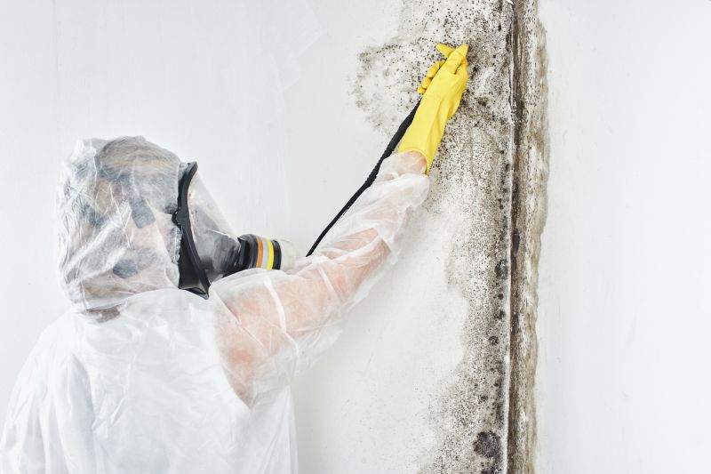 Black Mold Removal in Boynton Beach, FL