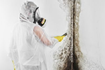 Black Mold Removal in Fort Lauderdale, FL