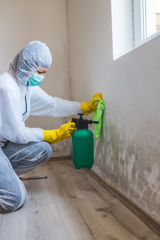 Crawl Space Mold Removal in Frisco, TX