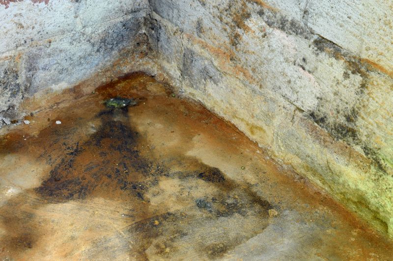 Crawlspace Mold Remediation in Dallas, TX
