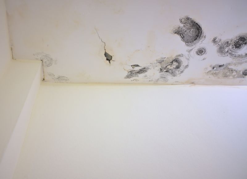 Garage Mold Remediation in Jupiter, FL