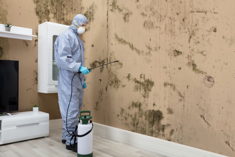 Mold Abatement in Boynton Beach, FL