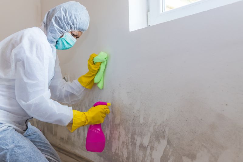 Mold Cleanup Service in West Palm Beach, FL