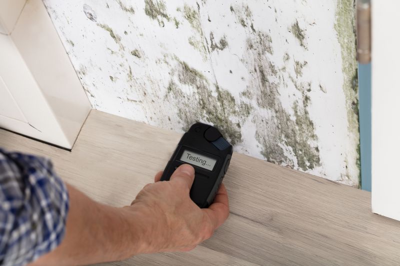Mold Detection in Broward County, FL