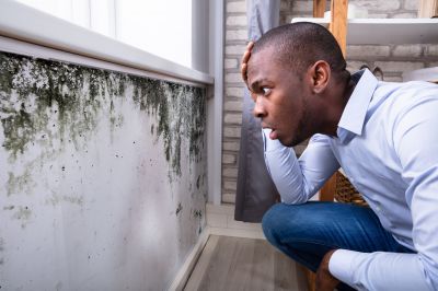 Mold Inspection And Removal in Denton, TX