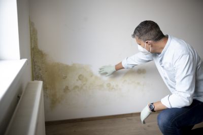 Mold Mitigation Service in Essex County, NJ