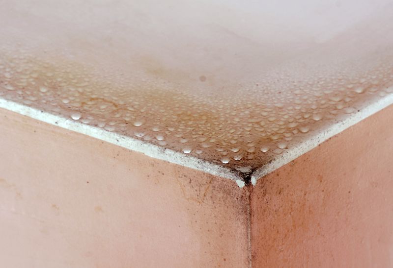 Mold Mitigation Service in Frisco, TX