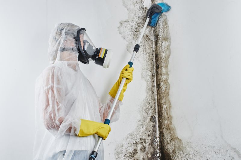 Mold Mitigation Service in Frisco, TX