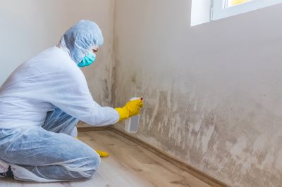 Mold Removal in Fort Worth, TX