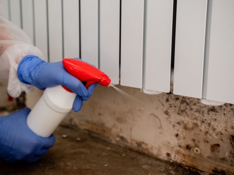 Mold Restoration in Bergen County, NJ