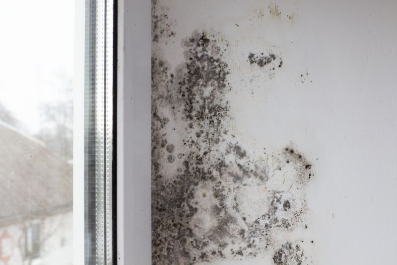 Mold Treatment Service in Jupiter, FL
