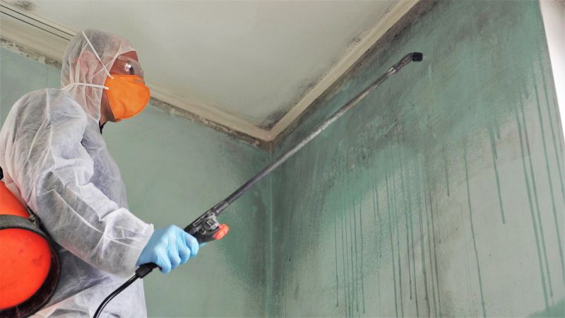White Mold Mitigation in Frisco, TX