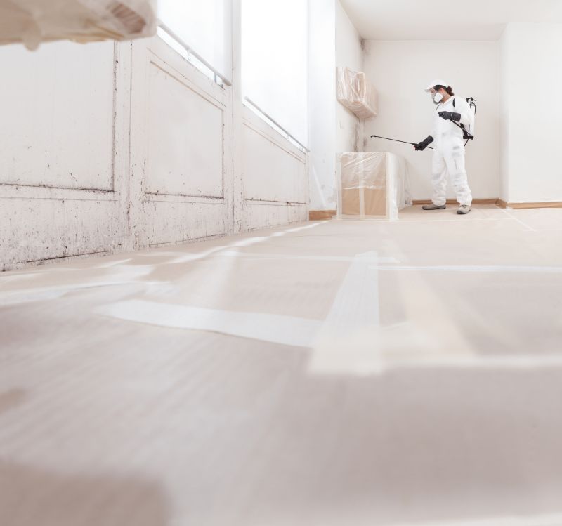 White Mold Mitigation in Frisco, TX