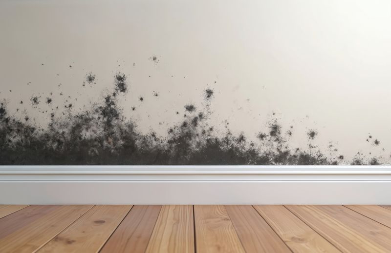 White Mold Mitigation in Fort Worth, TX