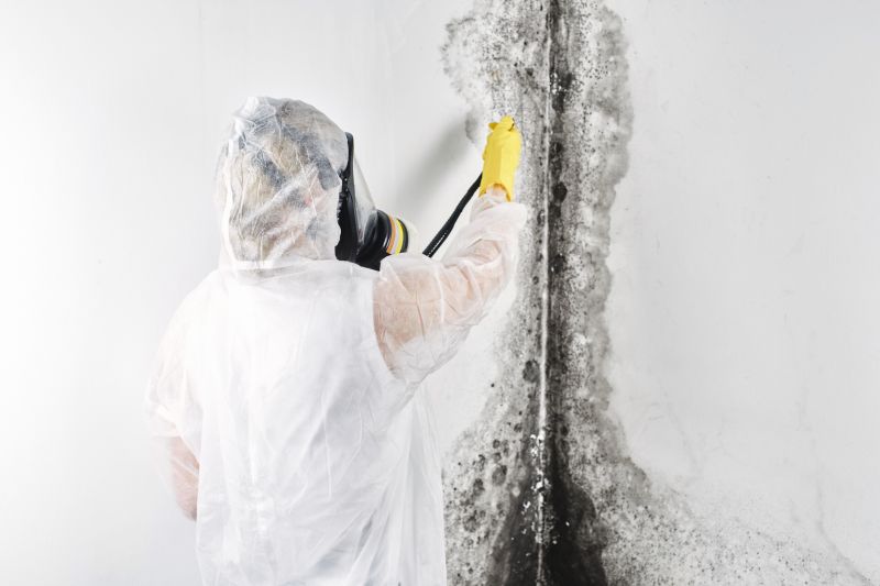 Attic Mold Remediation in Dallas, TX