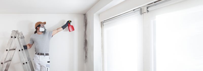 Mold Treatment Service in Boca Raton, FL