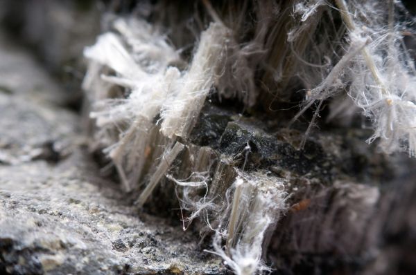 Asbestos Encapsulation